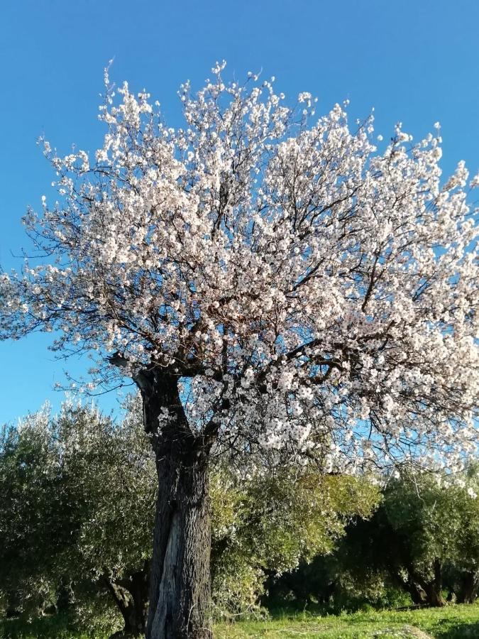 La Casona De Valenzuela别墅 外观 照片